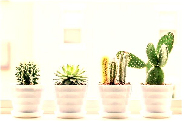 夢到了老人被車砸死會是什麼預兆_周公解夢官網