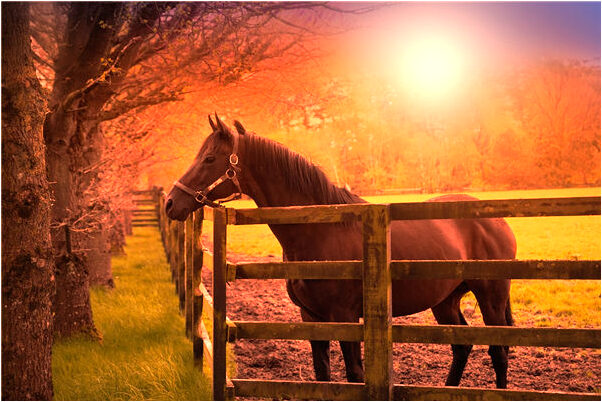 夢見被扣錢怎么說_周公解夢官網