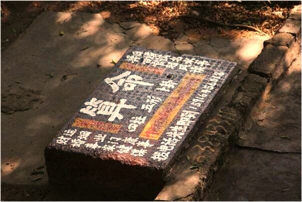 夢到了金絲楠木樹油價格是什麼意思_周公解夢官網