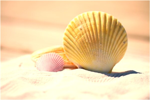 夢見別人在打牌是吉兆嗎?_周公解夢官網