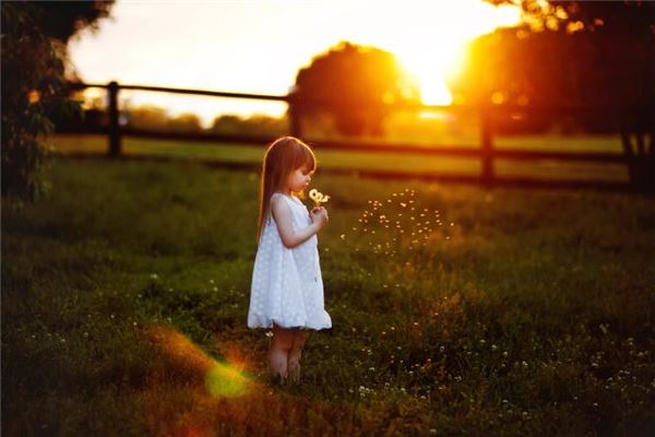 孕婦夢到二胎生了女孩_周公解夢