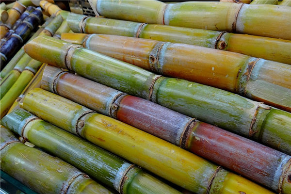 夢見甘庶_周公解夢