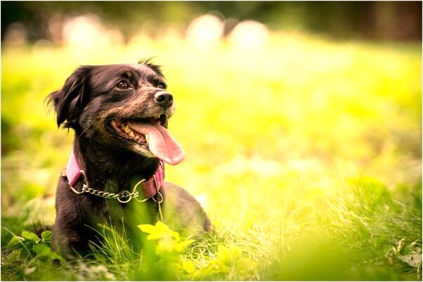 夢見坐熱氣球好不好_周公解夢官網