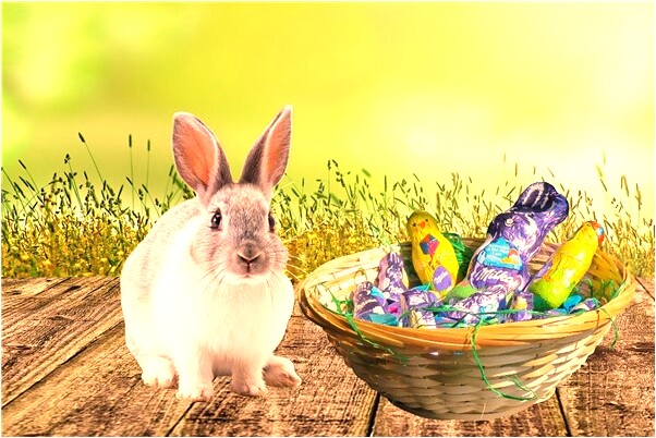 夢到兩條草魚精好不好_周公解夢官網