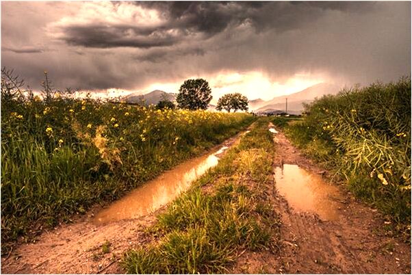 夢到解剖女人代表著什麼?_周公解夢官網