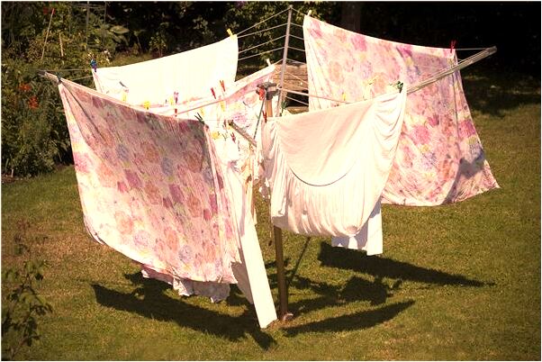 夢到朋友懷的是女孩兒是吉兆嗎?_周公解夢官網