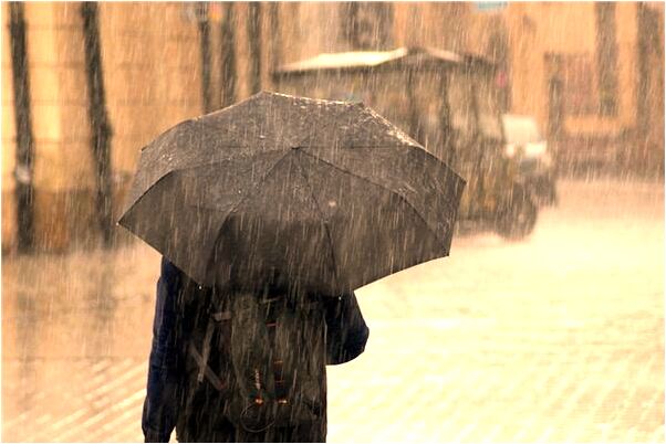 夢到了狗狗生重病是什麼意思_周公解夢官網