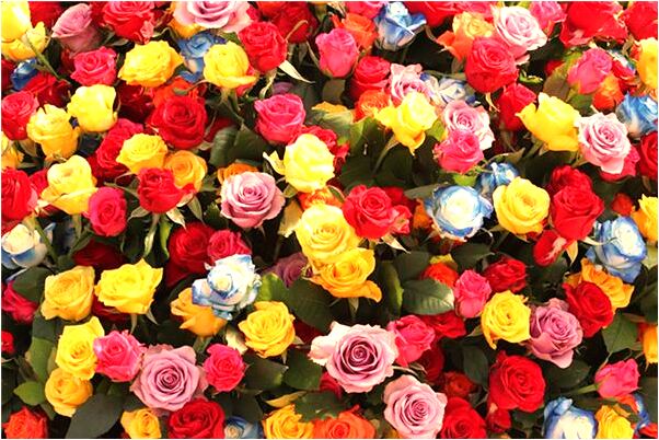 夢見老公掉入水中又自己浮上來有什麼說法_周公解夢官網