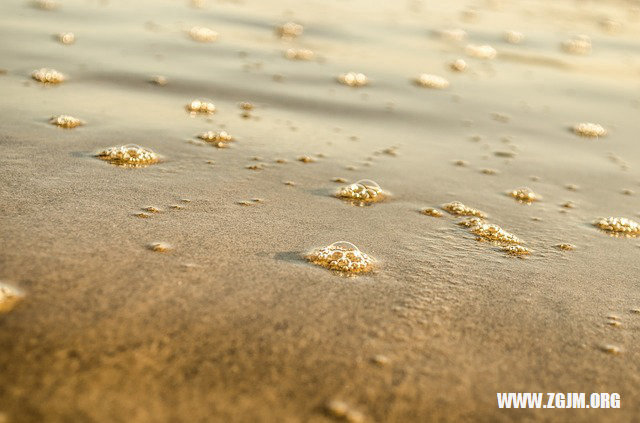 夢見蛇咬自己的腿_周公解夢夢到蛇咬自己的腿是什麼意思_做夢夢見蛇咬自己的腿好不好_周公解夢官網