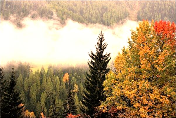 夢到了夢裡走上了高溫磚窯有什麼預示嗎_周公解夢官網