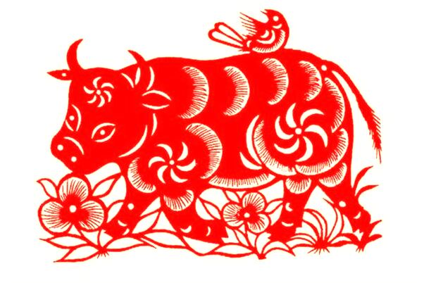 夢到了侄子換鞋的預兆_周公解夢官網