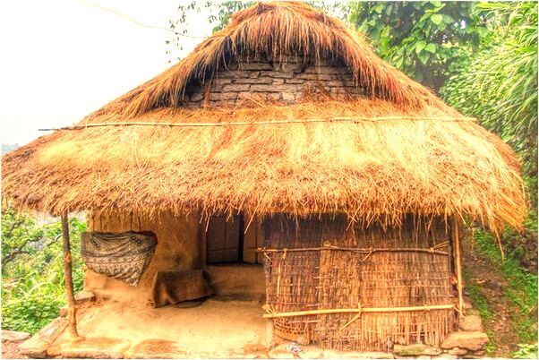 夢到老公拎著兩條魚預示什麼_周公解夢官網