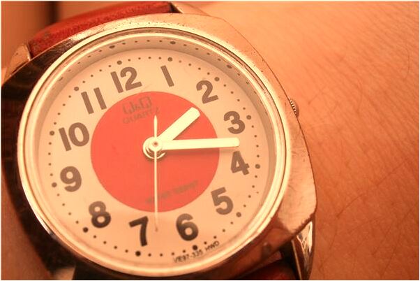 夢到了扇貝和海參是什麼預兆_周公解夢官網