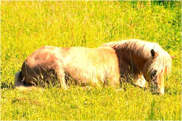 夢見下雨了給孩子拿傘上學是什麼預兆_周公解夢官網