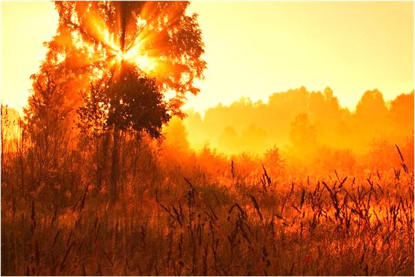 夢見父母被殺很慘怎么說_周公解夢官網