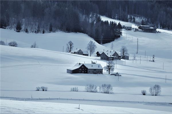 夢到了大雪封山是什麼意思_周公解夢