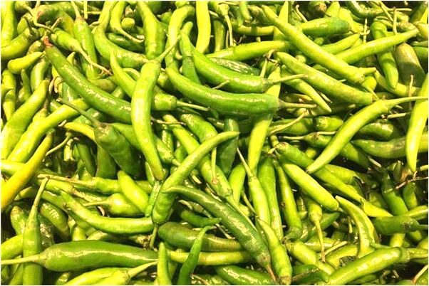 夢到男人大蛇變小蛇有什麼意思嗎_周公解夢官網