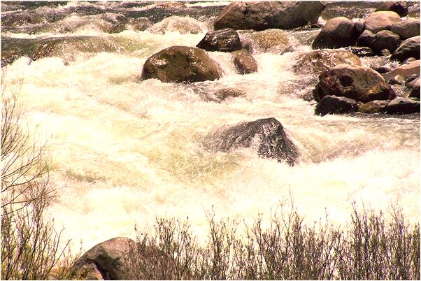 夢到陌生人給錢我買東西是什麼徵兆_周公解夢官網
