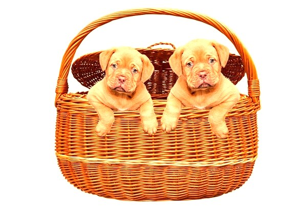 夢到了別人在家洗衣服是好事還是壞事_周公解夢官網