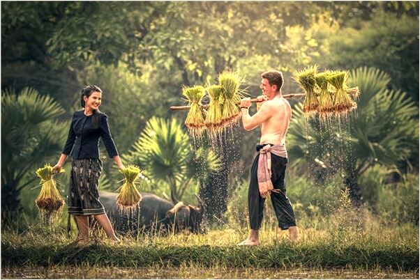 夢到了婚外情預示了什麼_周公解夢官網