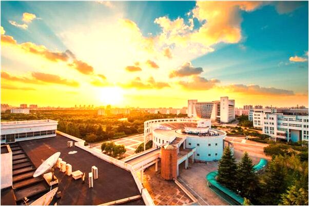 夢到蚯蚓分兩半好不好_周公解夢官網