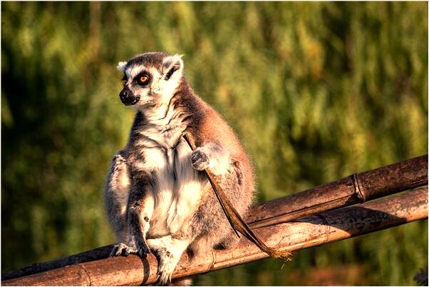 夢到了摩托下坡是什麼徵兆_周公解夢官網