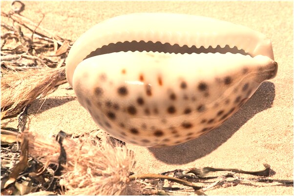 夢到和皇帝睡在一起會有什麼預兆_周公解夢官網