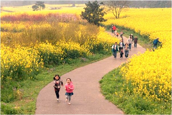 夢到親人被油燙意味著什麼_周公解夢官網