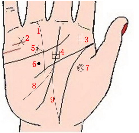 Palm reading on 9 big wealth