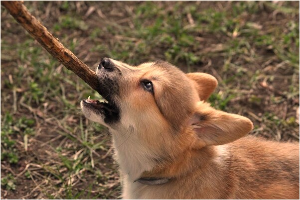 夢見自己人流產是什麼兆頭_周公解夢官網