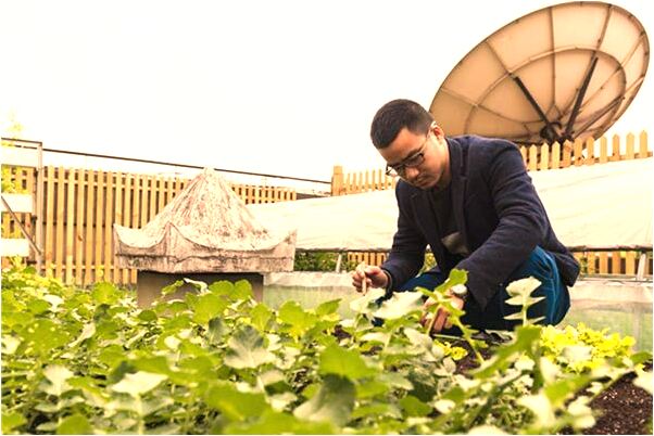 夢到倒掉一缸死魚代表什麼_周公解夢官網