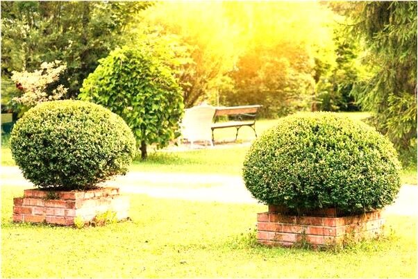 夢到家裡廁所漏水有什麼意義嗎_周公解夢官網