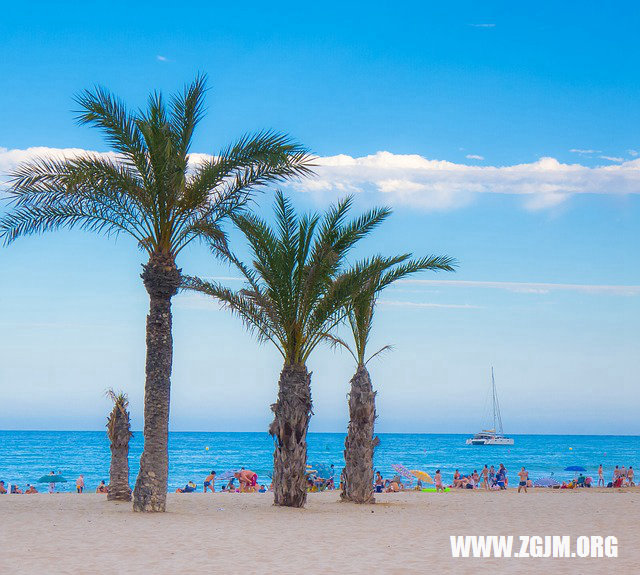 夢見放風箏飛的很高_周公解夢夢到放風箏飛的很高是什麼意思_做夢夢見放風箏飛的很高好不好_周公解夢官網