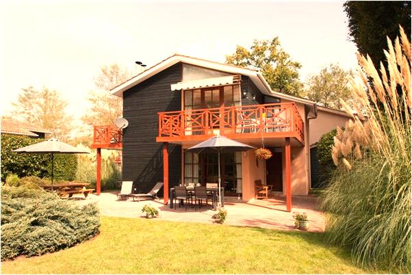 夢見打龍並摳瞎其眼睛意味著什麼_周公解夢官網