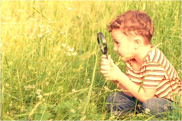 夢到了男友抓蛇時被咬到鼻子怎么回事_周公解夢官網