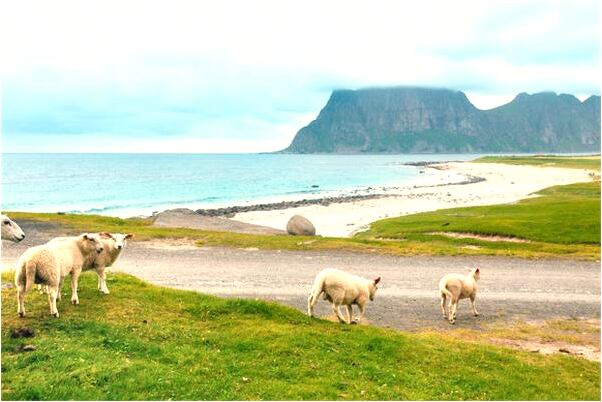 夢到朋友撒尿在自己身上意味著什麼_周公解夢官網