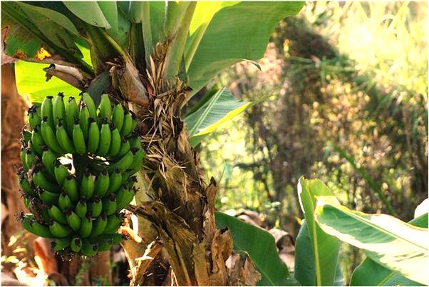 夢到了男孩頭髮長長的是什麼意思_周公解夢官網