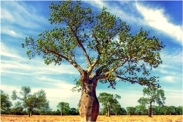 夢見被困山里看見惡鬼孤墳會是什麼預兆_周公解夢官網