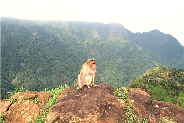夢見一男人脫下鞋扔進垃圾桶里怎么樣_周公解夢官網