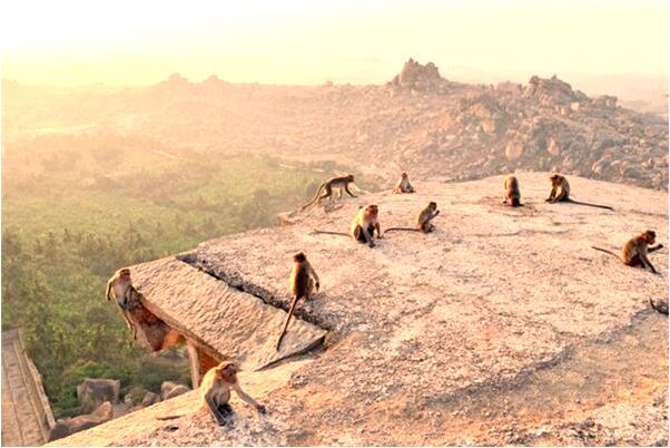 夢見畸形小孩是什麼徵兆_周公解夢官網