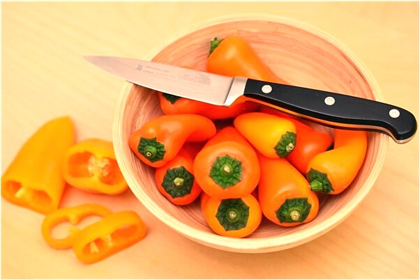 夢到了家裡裝修適合放什麼花是什麼啟示_周公解夢官網