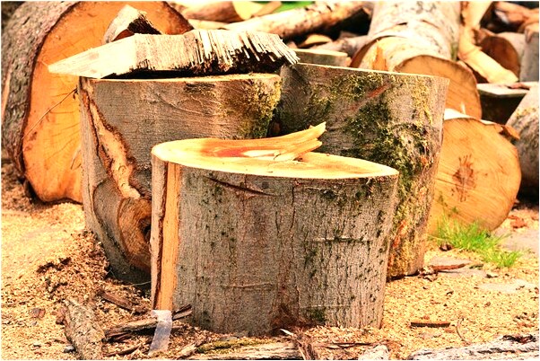 夢見吃白色鞋子怎么樣_周公解夢官網