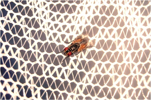 夢到和前任女友睡覺是啥預兆_周公解夢官網