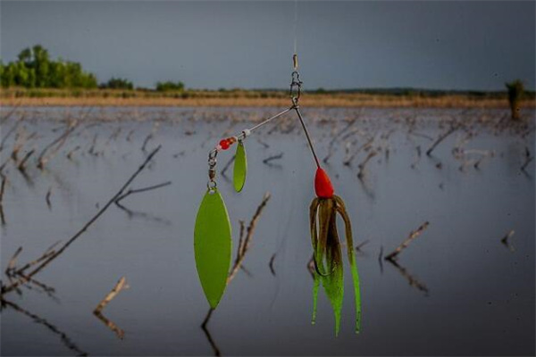 夢到了魚餌是好事還是壞事_周公解夢