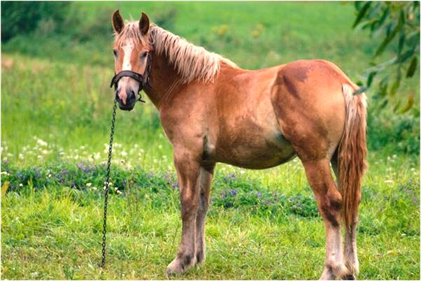 夢見和家裡人吃飯意味著什麼_周公解夢官網