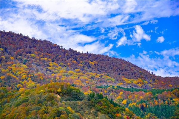 夢到了鄉長會是什麼預兆_周公解夢