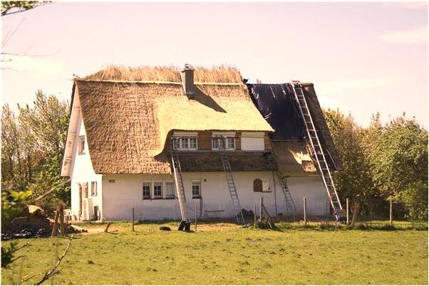 夢到同家老人搬家自己幫忙是什麼徵兆_周公解夢官網