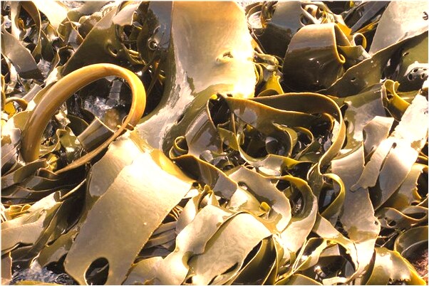 夢到姑娘沒有穿衣服是啥預兆_周公解夢官網