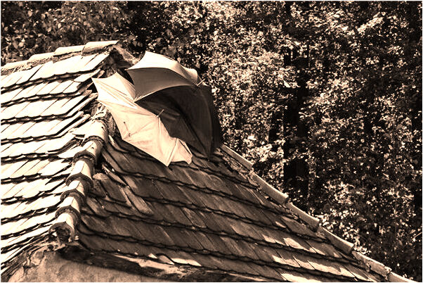 夢到了坡上坡下的會怎么樣_周公解夢官網