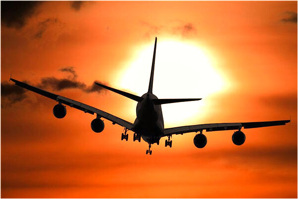 夢到了給狗吃飯是怎么回事_周公解夢官網